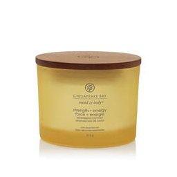 Chesapeake Bay Candle Strength & Energy Świeca Duża 3 Knoty 312 g