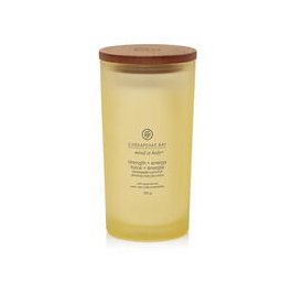 Chesapeake Bay Candle Strength & Energy Świeca Duża 354g