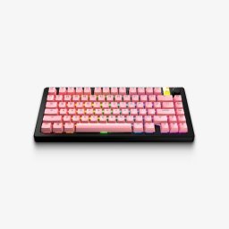Set Taste Tastatură Mecanică GPBT Layout US (ANSI) Roz