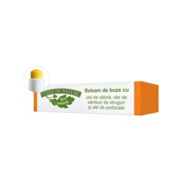 Balsam Buze Catina-Ulei Samburi Struguri 4.8g Verre De Nature