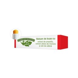 Balsam Buze Propolis-Morcov-Catina 4.8g Verre De Nature
