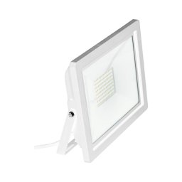 Proiector LED Eglo 64839 FILETTI LED/10W/230V 3000K IP65 alb