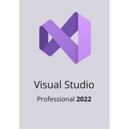 Microsoft Visual Studio 2022 Professional
