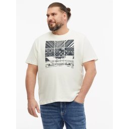 s.Oliver Big Sizes Tricou la baza gatului, barbati big sizes, din bumbac, cu imprimeu, Regular fit, Crem (SELECTATI MARIMEA: 2XL)
