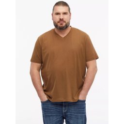 s.Oliver Big Sizes Tricou cu anchior, barbati big sizes, din bumbac, Regular fit, Maro (SELECTATI MARIMEA: 2XL)