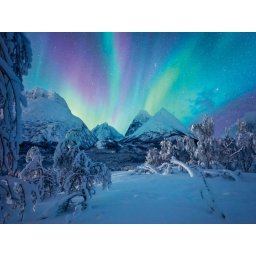 Ravensburger - puzzle spectacol arctic 1500 piese