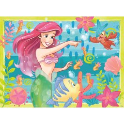 Puzzle ariel, 500 piese si stickere