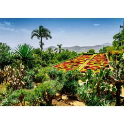 Ravensburger - puzzle gradina botanica madeira 1000 piese