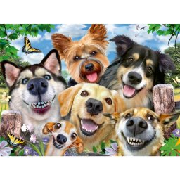 Ravensburger - puzzle selfie cu catelusi 500 piese design nou