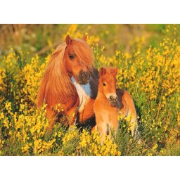 Puzzle ponei, 100 piese