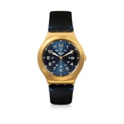 Ceas Swatch, Irony YWG408