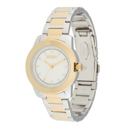 DKNY Ceas analogic 'Park Ave Midi' auriu / argintiu