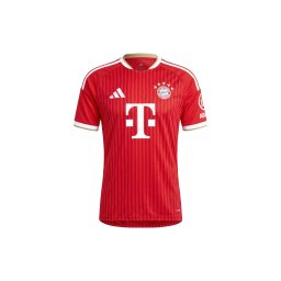 ADIDAS PERFORMANCE Tricot 'FC Bayern München 26/27' maro cămilă / roșu / roşu închis / alb