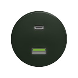 Reblig - Priză USB retro A+C, fără ramă, verde