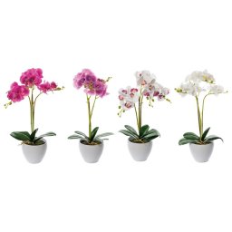 Set 4 Orhidee in ghiveci 14 x 50 cm