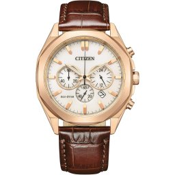 Ceas Barbati, Citizen, Sports CA4593-15A
