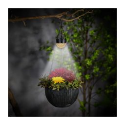 Lampă solară LED cu ghiveci, 1,2 V, 400 mAh, IP44, negru