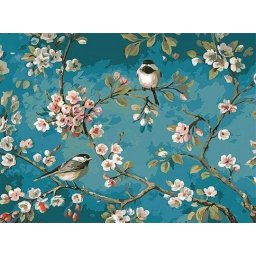 Set pictura pe numere, cu sasiu, Flori si pasari, 40x50 cm