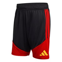 ADIDAS PERFORMANCE Pantaloni sport 'RBFA' galben / roșu / negru