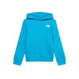 THE NORTH FACE Hanorac sport 'REDBOX' albastru deschis / albastru închis / alb
