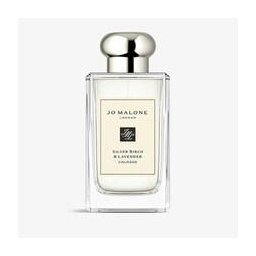 Lavenderland Collection Silver Birch & Lavender EDC