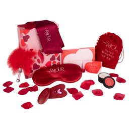 Dreamtoys Amour - set vibrator chiloți purtabil (roșu)