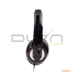 Casti cu microfon USB - dimensiune mare, black
