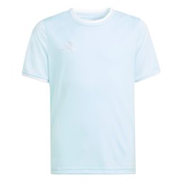 ADIDAS PERFORMANCE Tricou funcțional 'Entrada26' albastru deschis / alb