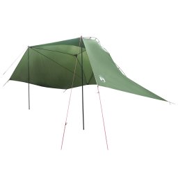 Cort pentru masina Verde 350 x 250 cm Poliester si otel GartenMobel Dekor