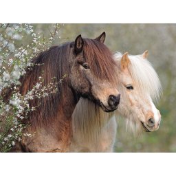 Puzzle ponei, 150 piese