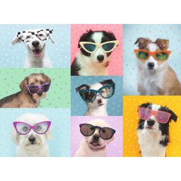 Puzzle catei amuzanti, 150 piese
