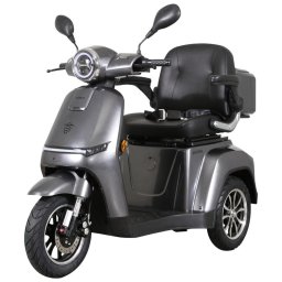 Triciclu electric, tricicleta, Samus Arizona-3R1-10T1000-60V20 Silver, 10 inch, motor 1000 W, acumulator 60V 20Ah, viteza maxima 25 km/h, autonomie 50 km, sarcina maxima 105 kg, Argintiu