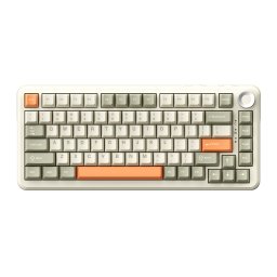Tastatura mecanică wireless de gaming AK820MAX - Retro Colour - Flying Fish Switch - 8000 mAh