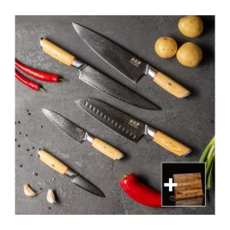 Gudaro - Set de 5 cuțite de bucătărie din oțel damasc HIKARI + suport magnetic