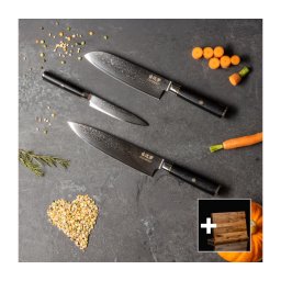 Gudaro - Set de 3 cuțite de bucătărie din oțel damasc AKIRO + suport magnetic