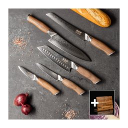 Gudaro - Set de 5 cuțite de bucătărie din oțel Damasc TAKUMI + suport magnetic