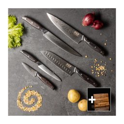 Gudaro - Set de 5 cuțite de bucătărie din oțel damasc SHIRO + suport magnetic