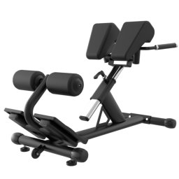 Aparat hiperextensii TheWay Fitness ZH-026A