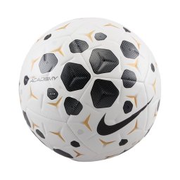 Minge Nike Academy Training