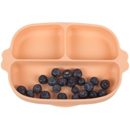 Set hranire bebe din silicon, 1 farfurie compartimentata cu ventuza, 2 lingurite marimi diferite, fara BPA, roz somon, KidsCare