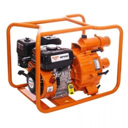 MotoPompa RURIS MP 100