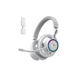 Wired/Wireless Gaming Alb