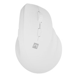 Mouse Crake 2 Alb