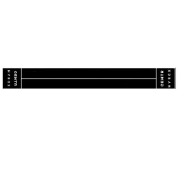 Centr x HYROX Perform Turf - 2 Lanes cu End Zones si Logo 16.2 m L 2 m W