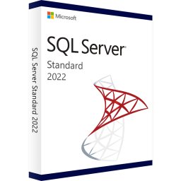 Licenta Software Microsoft SQL Server 2022 Standard, Multilanguage, Retail ISO, Licenta digitala