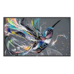 Philips 75BDL3650Q Q-Line - 75" Class (74.5" viewable) LED-backlit LCD display - 4K - for digital signage