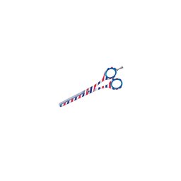 Foarfeca de filat parul BARBER LINE 5,5
