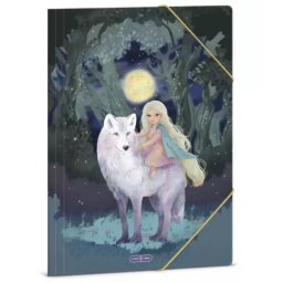 Northern Lights: Mapă cu elastic – format A4