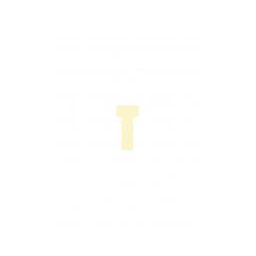 Accesorii birotica JALEMA T-cards, din hartie, 100buc/set, format 1 - (55 x 15mm, top 27mm) - bej