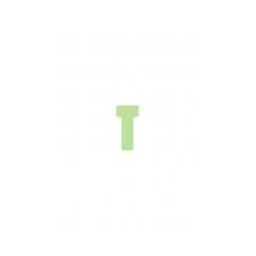 Accesorii birotica JALEMA T-cards, din hartie, 100buc/set, format 1 - (55 x 15mm, top 27mm) - verde